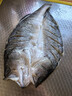 仙泉湖三去白蕉海鲈鱼1斤/条净膛刺少肉厚 珠海特产500g生鲜 春节也送货 实拍图