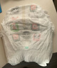 好奇（Huggies）小森林拉拉裤XXXL28片(17kg以上)心钻【透氧顶配更低敏】 实拍图