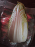 云南高原黄心娃娃菜大白菜新鲜蔬菜包心菜黄心白菜脆甜 新鲜娃娃菜1斤 实拍图