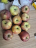阿克苏苹果新疆阿克苏冰糖心苹果新鲜时令水果礼盒红富士丑苹果 10斤 一级果75-90mm净重8.5-9斤 实拍图
