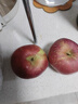 志褚 云南昭通丑苹果 冰糖心苹果 高山脆甜苹果新鲜水果 团购年货礼盒 3斤 小果【60mm-65mm】 实拍图