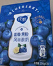 蒙牛纯甄蓝莓果粒风味酸奶200g*10盒 送礼盒装 实拍图