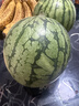 京鲜生 特小凤黄肉西瓜 2粒装 净重4-6斤 单果2-3斤 生鲜水果 实拍图