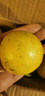 京喜加广西 黄金百香果钦蜜9号现摘新鲜水果白香果青果发货 小果实惠 带箱2斤【小果-单果30-45g】 实拍图