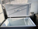星星（XINGX）300L单温家用小型冰柜 大容量减霜保鲜净味节能一级能效冰箱冷藏冷冻两用冷柜BD/BC-300QJ 实拍图
