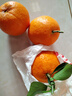 京鲜生 广西夏橙4.5斤装单果120g+橙子生鲜水果 源头直发包邮 实拍图