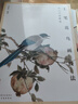 5册《名家画集》吴昌硕石涛沈周郑板桥画集8开国画临摹画册书籍技法教材花卉竹山水书画临本写意花鸟名作赏析 实拍图