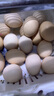 京鲜生可生食标准鲜鸡蛋30枚礼盒装3斤 源头直发 实拍图