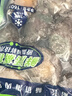 江船长 冷冻鲍鱼 净重160g(10-15粒)袋装 火锅食材 海鲜生鲜年货送礼 实拍图