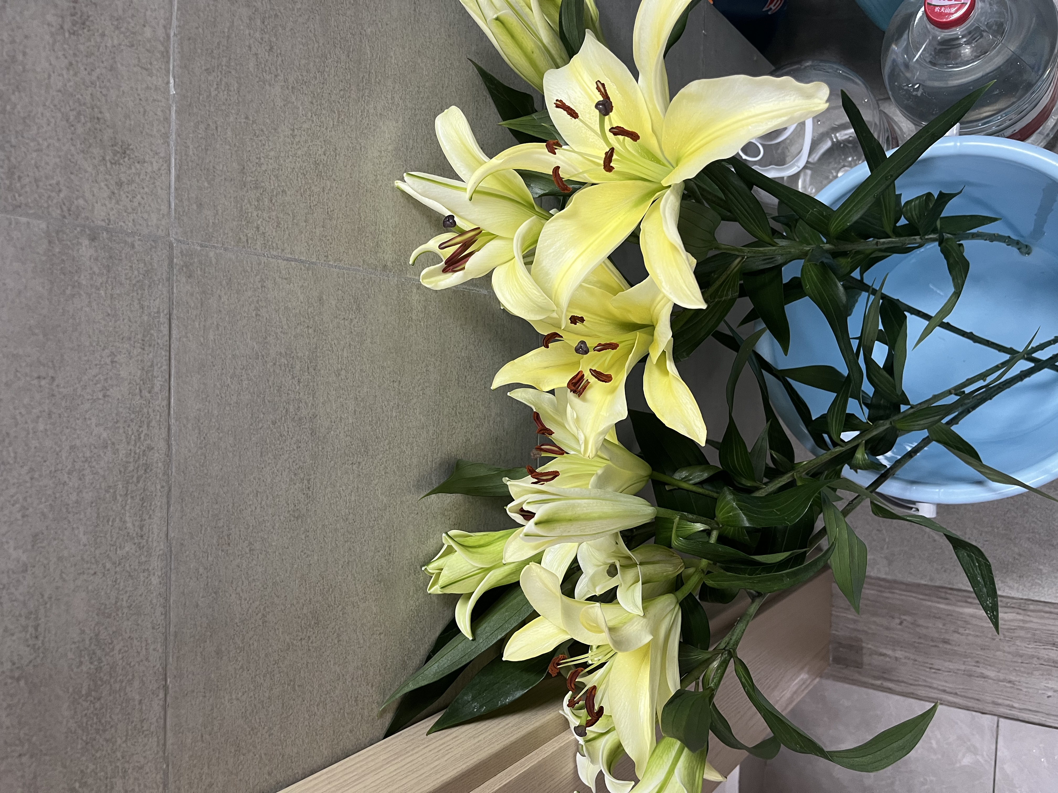轻奢玻璃花瓶高级感摆件客厅插花透明水养鲜花专用百合玫瑰餐桌 【17高透明】水滴花瓶 实拍图