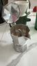 比乐蒂（Bialetti）经典单阀2杯份摩卡壶咖啡壶户外露营便携手冲咖啡机 实拍图