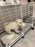 爱咪宠狗笼子小中型犬带厕所冬天家用保暖小型犬狗狗围栏泰迪比熊狗笼 三格带轮【109*37*57】可移动 豪华款：狗窝+喂水喂水器+基础款 实拍图