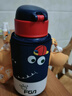 FGA富光儿童保温杯316不锈钢男女宝宝学生吸管水杯子大容量壶580ML 实拍图