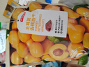京东京造去核土耳其杏干400g无添加无糖杏肉健康零食蜜饯果干果脯 实拍图