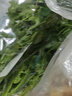 带根香菜100g 实拍图