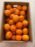 京鲜生 广西优级沃柑 净重5斤单果110g起 生鲜桔子水果年货礼盒 实拍图