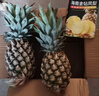 十里馋海南金钻凤梨当季水果手撕菠萝香水新鲜小菠萝整箱批发 2枚超值装 单果400g+ 净重2.5-3斤 实拍图