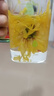贡苑菊花茶30大朵安徽黄山金丝皇菊特级一杯一朵独立包装熬夜去火胎菊 实拍图