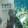 珀莱雅面膜 小球藻面膜补水保湿海藻面膜补水面膜女男33片 实拍图