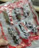 张奶奶 大连冷冻即食海参礼盒非干货天然辽刺参高品质海鲜无污染 即食海参 500g 10-16头≥85%固形物 体壁厚实 Q软弹牙 实拍图