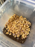 WEYES冻干蛋黄粒1000g桶装成幼猫狗宠物零食冻干原切蛋黄卵磷脂 实拍图