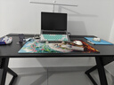 京东京造泰坦A3电竞桌台式电脑桌子实木ENF级家用书桌办公桌碳纤维纹1.4m 实拍图