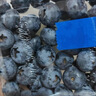 怡颗莓Driscoll's 云南蓝莓14mm+ 2盒装 约125g/盒 新鲜水果 实拍图