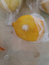 广东香水黄柠檬包邮新鲜水果柠檬精选皮薄奶茶店专用整箱 现货 柠檬带箱2斤单果70g+约10-18个 实拍图