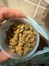藻趣儿 狗粮 通用全价犬粮小中大型犬泰迪柯基金毛拉布拉多 幼犬粮 2.5kg 实拍图