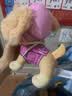 汪汪队立大功（PAW PATROL）汪汪队玩具毛绒全套狗狗玩偶公仔男女孩玩具旺旺队儿童生日礼物 站姿款-天天公仔 中号-坐或站高约17~22.9CM 实拍图