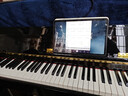 特伦斯电钢琴88键重锤数码电子钢琴成人儿童考级演奏家用电钢S71/S75 烤漆黑色【木质琴键】 实拍图