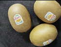 佳沛（zespri）意大利  阳光金奇异果10粒礼盒巨大果单果约144-175g 年货礼盒 实拍图