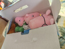 小猪佩奇玩具恐龙玩偶睡衣换装公仔娃娃儿童玩具3-6岁毛绒玩具新年礼物 实拍图