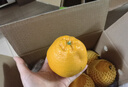 京鲜生 耙耙柑 净重5斤装 单果150g起 生鲜柑橘桔子水果年货礼盒  实拍图