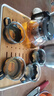 【京东物流】茶壶套装整套茶具大容量玻璃茶杯带滤网耐高温泡茶具 1000ML一壶+四杯套装【无茶盘】 实拍图