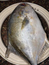翔泰 海南金鲳鱼净重900g 2条装  年货节鱼类生鲜 火锅食材 海鲜水产  实拍图