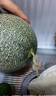 京鲜生 海南哈密瓜西州蜜/西周蜜 2粒5-7斤 单果2.5斤生鲜水果年货礼盒 实拍图