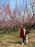 芭比童装女童拜年服女童马年新年衣服加绒红色裙子女童连衣裙BY007 实拍图