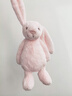 Jellycat害羞乳白色邦尼兔动物毛绒玩偶安抚玩偶娃娃送礼生日礼物 害羞粉色邦尼兔 Medium 实拍图