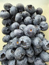 怡颗莓Driscoll's云南蓝莓Jumbo大果18mm+4盒装约125g/盒 新鲜年货水果 实拍图