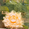 babycare金山茶花纸尿裤M50片(6-11kg)婴儿尿不湿超薄透气新生柔花苞裤 实拍图