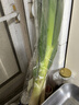 【农户直通车】大葱约500g 实拍图