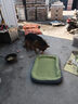 萌嘟星宠猫狗窝中大犬冬季保暖垫子加厚金毛泰迪四季通用睡垫跑道款XXL号 实拍图