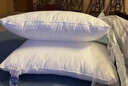 富安娜 枕头芯低枕酒店枕头全棉面料抗菌枕头芯纤维软枕芯一对装74*48cm 实拍图