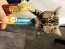 猫条猫零食补充营养味美妙鲜湿粮包猫罐头猫条100支整箱猫咪零食 猫条三文鱼磷虾口味【15g*30支】 实拍图