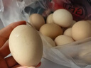 CP正大鲜鸡蛋 30枚 3.18斤 早餐食材 优质蛋白  礼盒装 实拍图