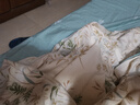 无印良品100%纯棉床上四件套 1.5/1.8米床单枕套双人家用全棉被套200*230cm 实拍图