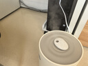 小熊（Bear）加湿器家用卧室 桌面大雾量办公室空调房轻音 母婴幼儿空气净化抑菌加湿器小型 JSQ-C45U1 实拍图