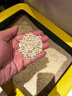 福丸自然空气玉米豆腐猫砂除臭低尘可冲厕所 玉米淡香 2.5kg*4包 实拍图