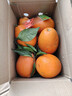 逮果重庆奉节脐橙纽荷尔春橙福本特级大果礼盒装时令新鲜孕妇水果橙子 精选5斤大果【JD/顺丰】 实拍图